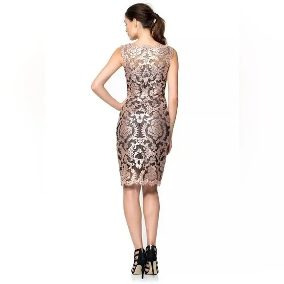 Tadashi Shoji Antique Pink Illusion Sequin Paillette Embroidered Lace Dress - Picture 15 of 15